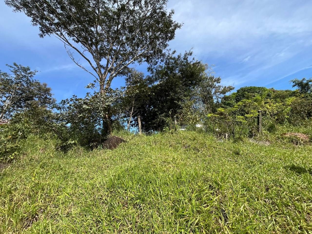 Terreno à venda, 600 m² bairro Industrial Castelo Branco Juatuba MG — foto 10