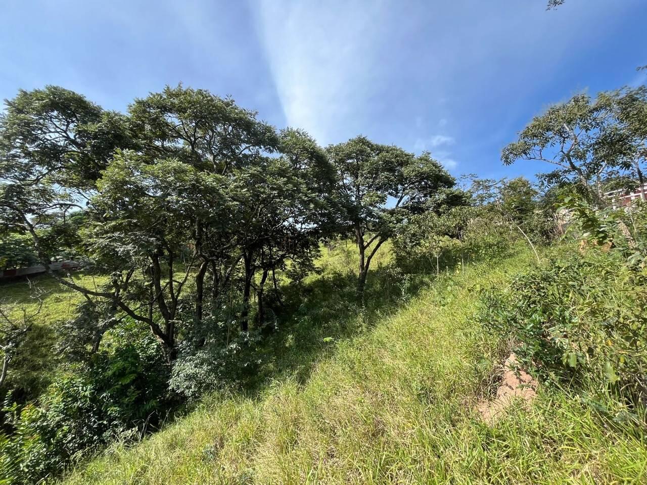 Terreno à venda, 600 m² bairro Industrial Castelo Branco Juatuba MG — foto 9