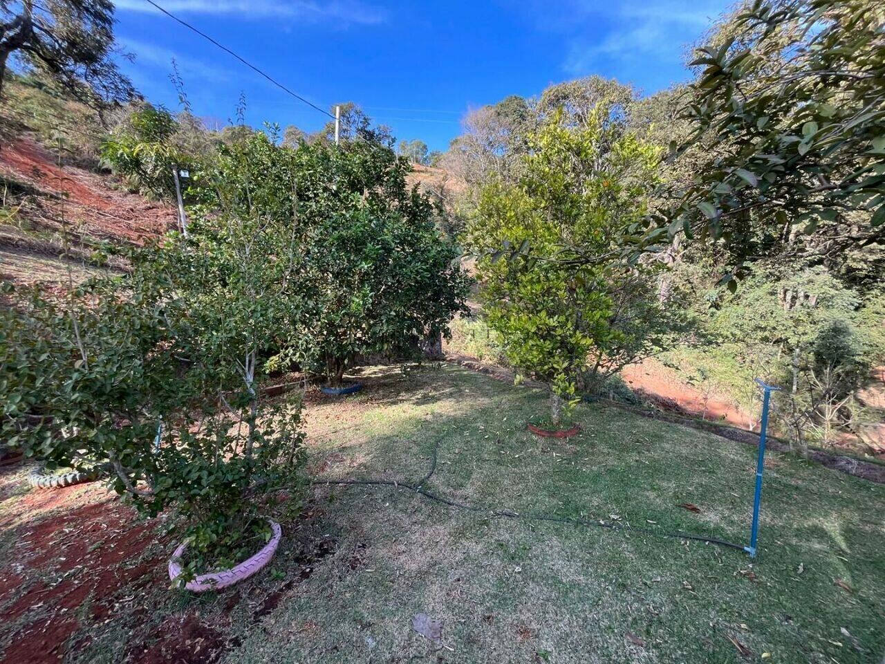 Chácara com 3 dormitórios à venda, 5000 m² - Santa Terezinha de Minas - Itatiaiuçu/MG — foto 3