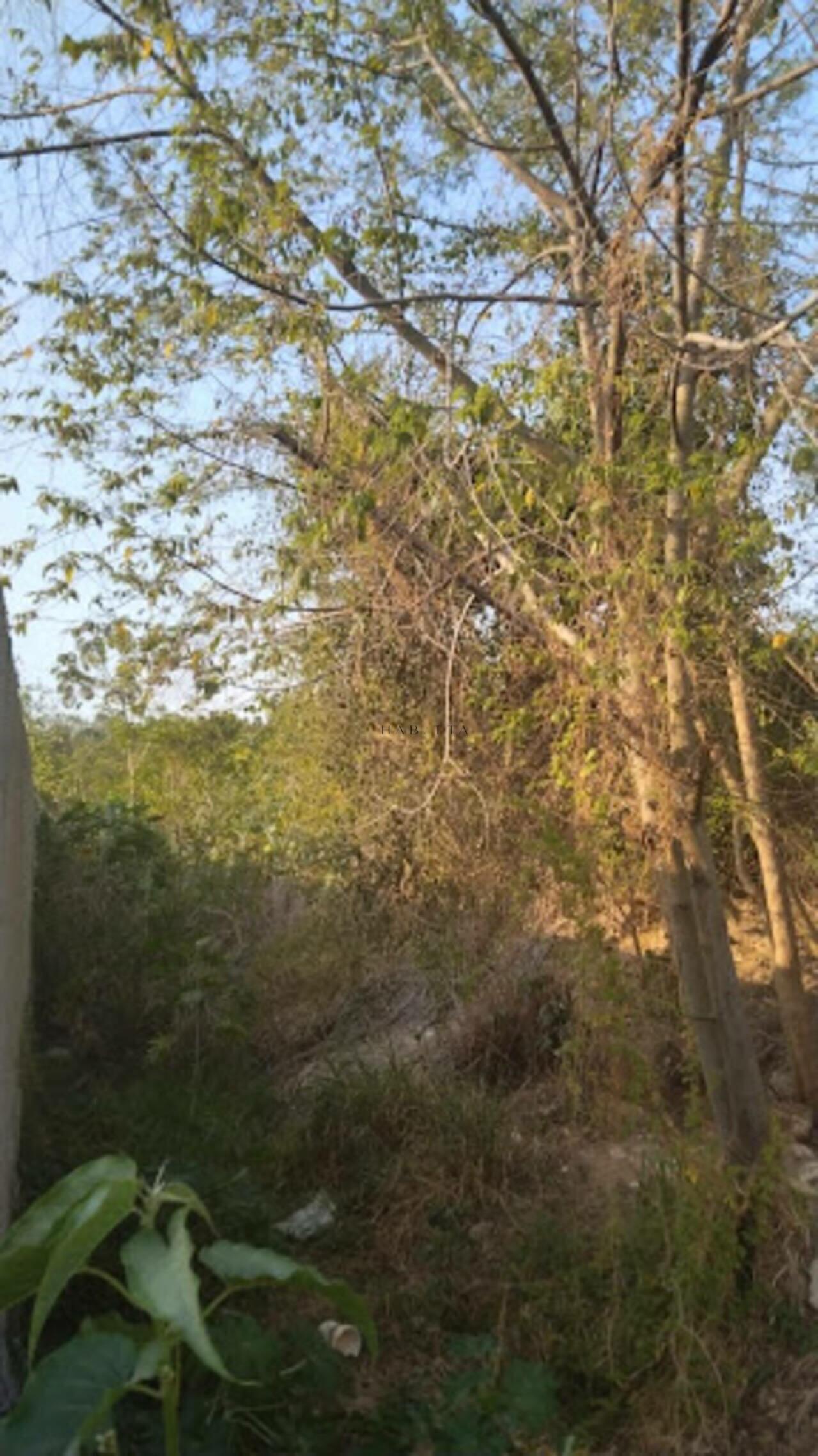 Área à venda, 864 m² - Cruzeiro do Sul - Betim/MG — foto 3