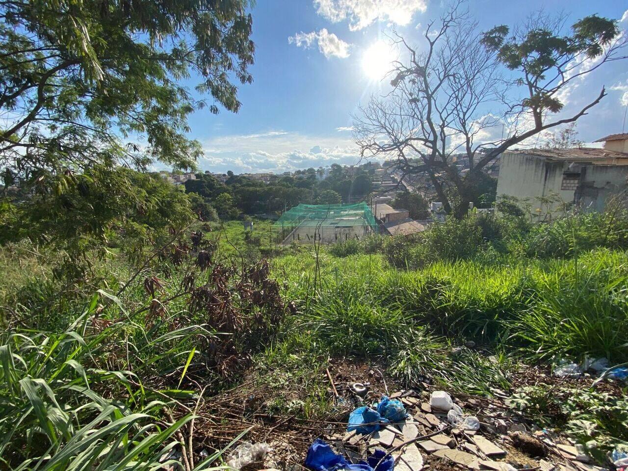 Terreno à venda, 2882 m² - Bom Retiro - Betim/MG — foto 4